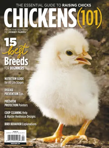 Chickens 101 - 26 Jan 2021