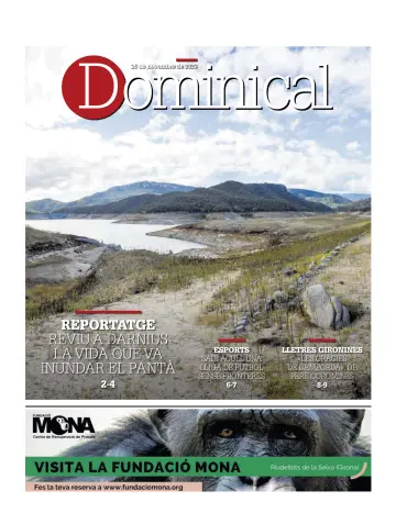 Dominical - 26 11月 2023