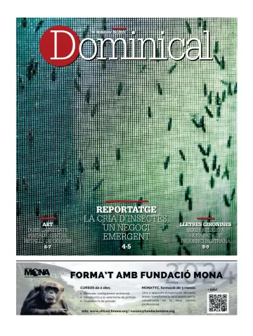 Dominical - 18 2月 2024