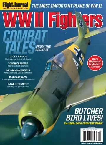 WWII Fighters - 8 Nov 2021