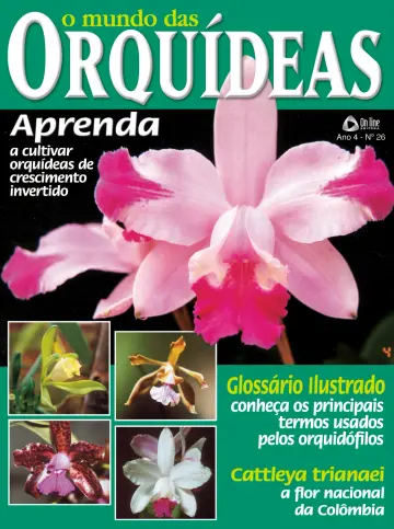 O Mundo das Orquídeas - 30 ноя. 2022