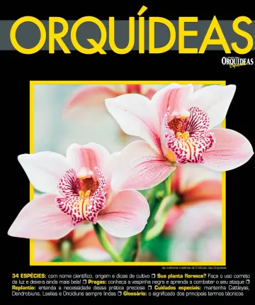 O Mundo das Orquídeas - 30 déc. 2022