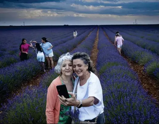 EL PODER TURÍSTICO DE LA LAVANDA