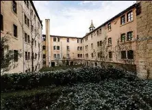 OÑA, EL GRAN RESURGIR (I)
