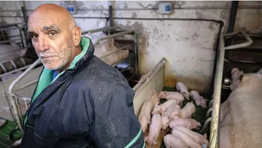 CUANDO LA PESTE ESTUVO EN BURGOS