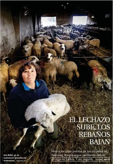 EL LECHAZO SUBE, LOS REBAÑOS BAJAN