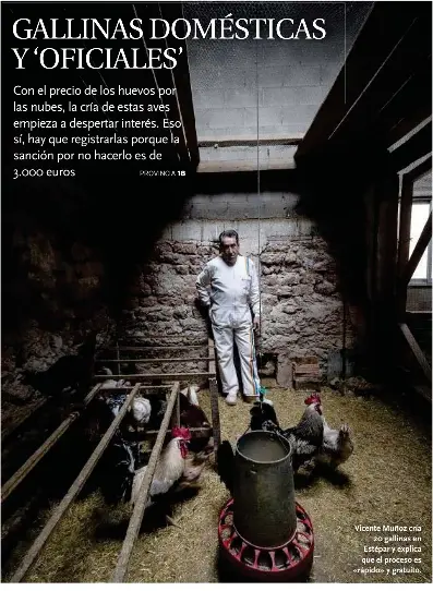 GALLINAS DOMÉSTICAS Y ‘OFICIALES’