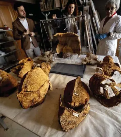 EL TESORO DE PEÑARANDA