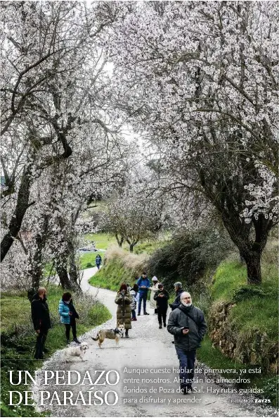 UN PEDAZO DE PARAÍSO