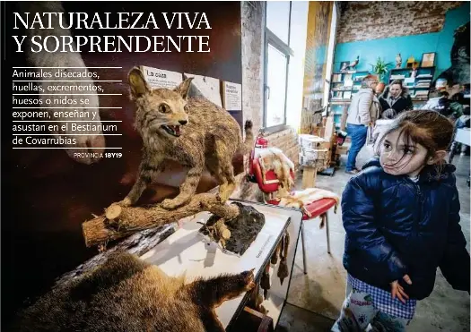 NATURALEZA VIVA Y SORPRENDENTE