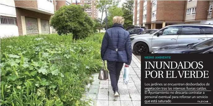 INUNDADOS POR EL VERDE