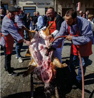 MATANZA EN VILLADA, UN RITO QUE ALIMENTA