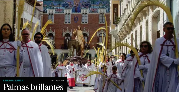 PALMAS BRILLANTES Y DESCONSUELO