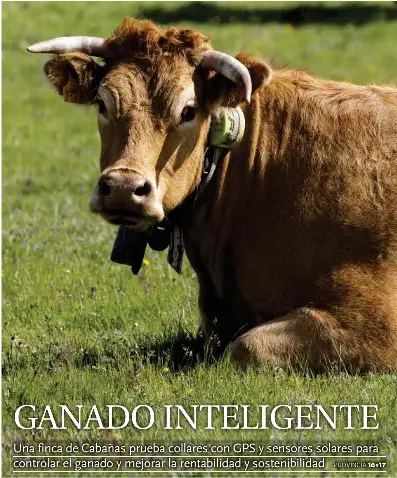 GANADO INTELIGENTE