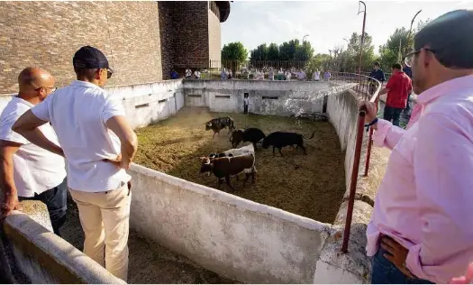 ÁVILA ESPERA SU TARDE TAURINA