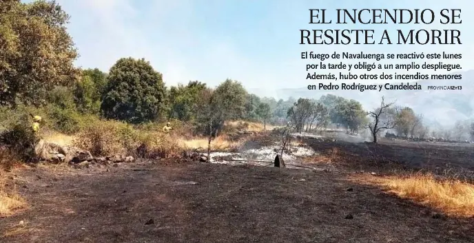 EL INCENDIO SE RESISTE A MORIR