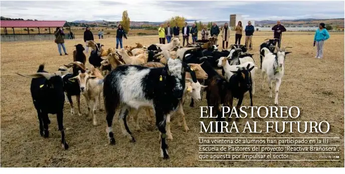 EL PASTOREO MIRA AL FUTURO