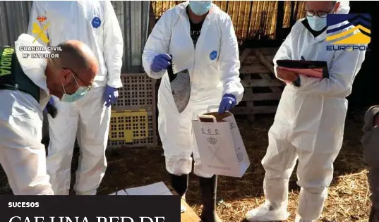 CAE UNA RED DE MATADAEROS ILEGALES