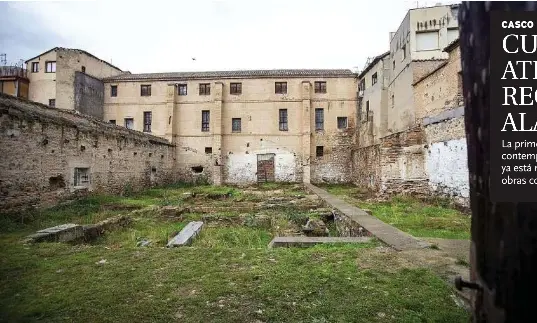 CUENTA ATRÁS PARA RECUPERAR ALAMILLOS