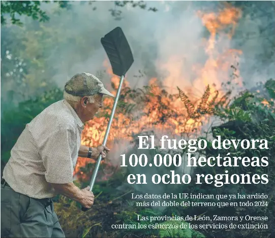 EL FUEGO DEVORA 100.000 HECTÁREAS EN OCHO REGIONES