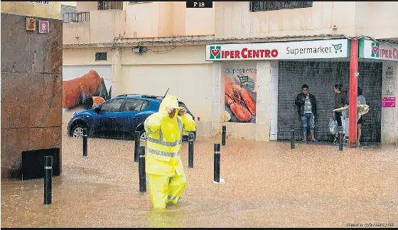 FERRAN SÁEZ MATEU