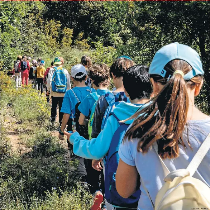 LES COLÒNIES ESCOLARS ES REINVENTEN