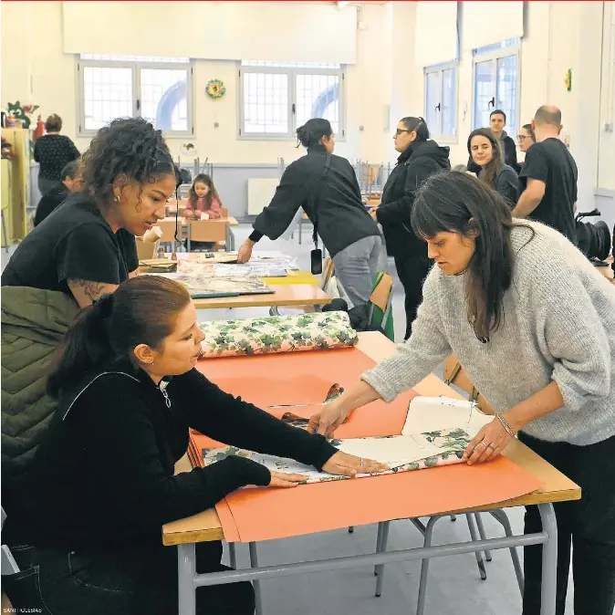 FAMÍLIES CONTRA LA SEGREGACIÓ