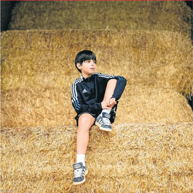 JO DE GRAN VULL SER PAGÈS