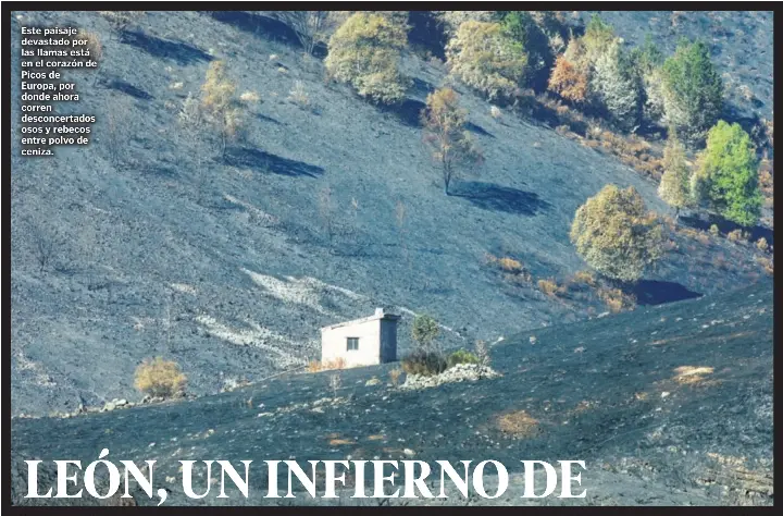 HECTÁREAS