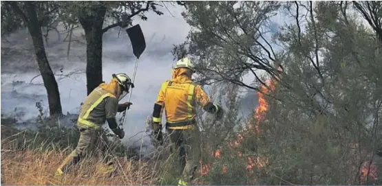 UN INCENDIO GENERA ALARMA EN SAN CIBRAO
