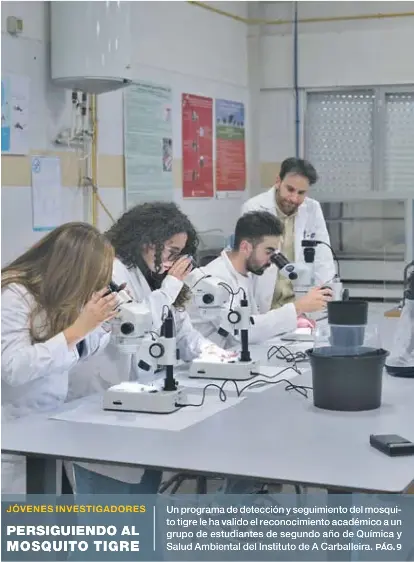 PERSIGUIENDO AL MOSQUITO TIGRE