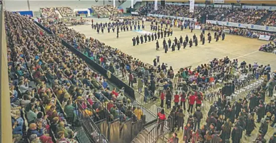 RONDALLAS MULTITUDINARIAS EN IFEVI