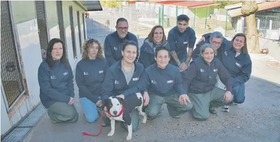 EL REFUGIO DE A MADROA SUMA ADOPCIONES