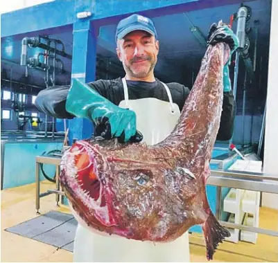 UN RAPE DE MÁS DE 12 KILOS