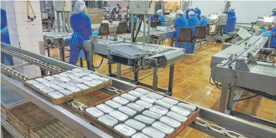 EL ÚLTIMO VESTIGIO DE LA CONSERVA EN VIGO