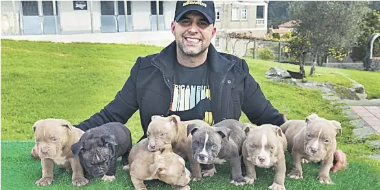 LOS PERROS DE RAZA COTIZAN AL ALZA