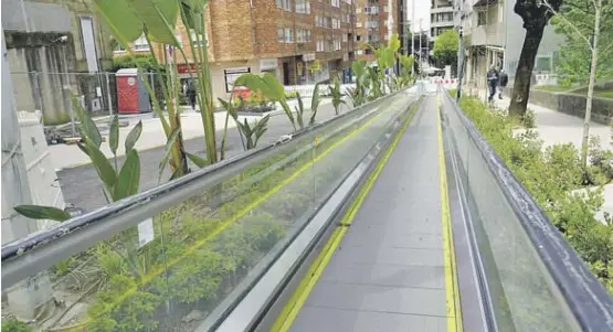 EL VIGO VERTICAL CRECE EN PINTOR LUGRÍS