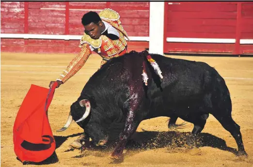 MORENITO DE ARANDA, PEREIRA Y FERNÁNDEZ, UNA OREJA POR COLETA EN CANTALEJO.