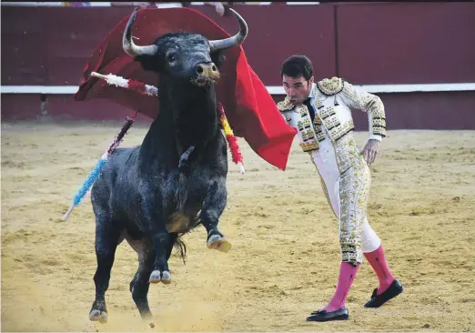 UNA ÚNICA OREJA EN LA CORRIDA DE TOROS DE PARTIDO DE RESINA EN CUÉLLAR.