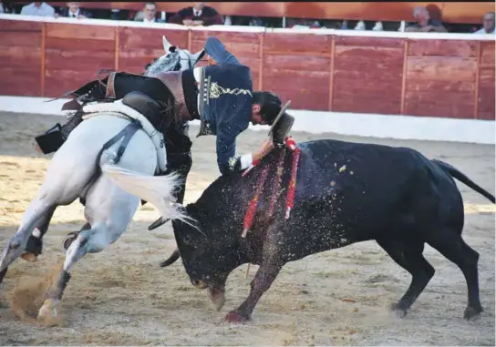 TARDE TRIUNFAL EN NAVA DE LA ASUNCIÓN.