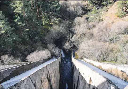 COMIENZAN LAS INTERVENCIONES DE ACONDICIONAMIENTO EN PUENTE ALTA.