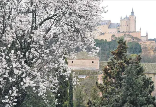 PRIMAVERA ADELANTADA.