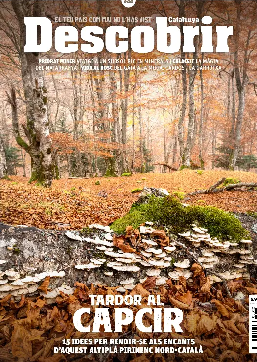 TARDOR AL CAPCIR