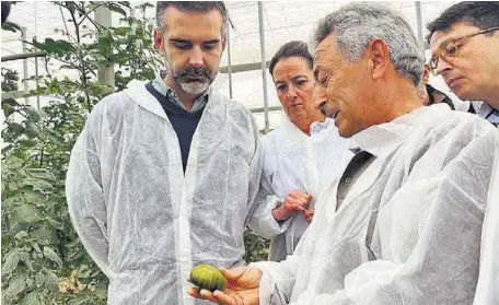 EL TOMATE ALMERIENSE CONQUISTA EL MERCADO