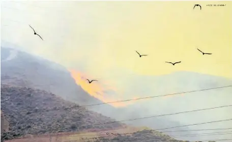 INCENDIO EN EL BAJO ANDARAX POR UN RAYO