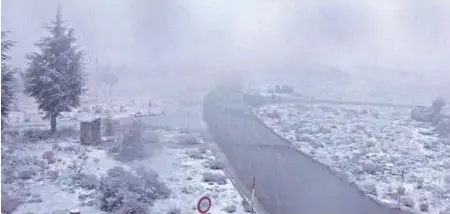 LA SIERRA DE LOS FILABRES SE PINTA DE BLANCO