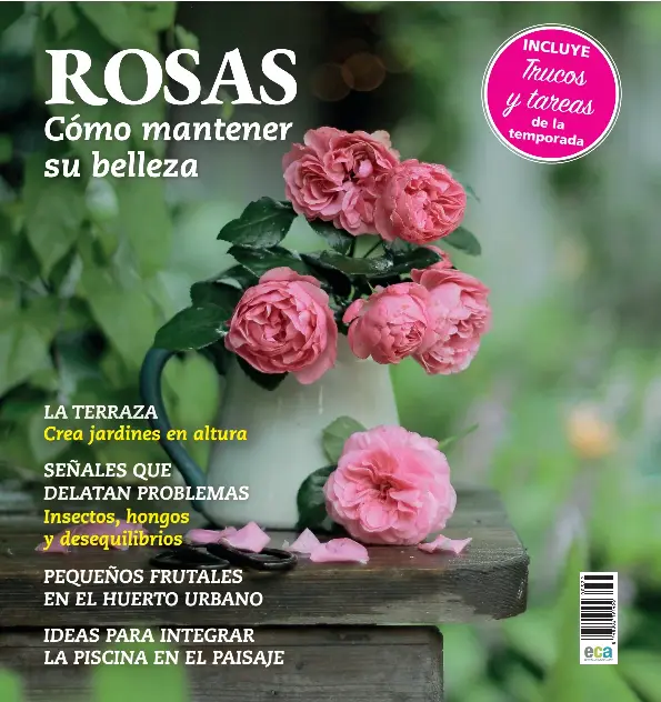 ROSAS