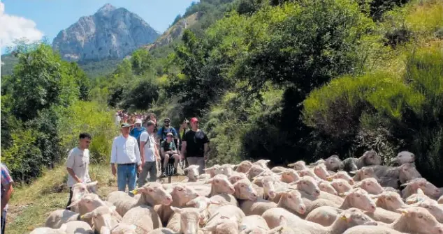 TRASHUMANCIA ‘POPULAR’
