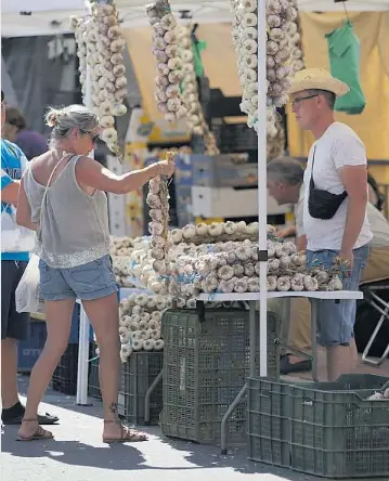 EL AJO REINA EN SANTA MARINA