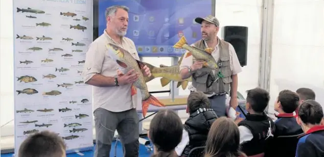 PESCA EN LA CIUDAD